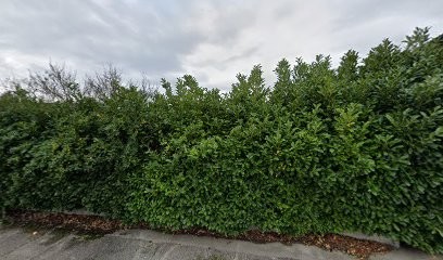 P.A AUTOS, Garage Automobile à Charvieu-Chavagneux