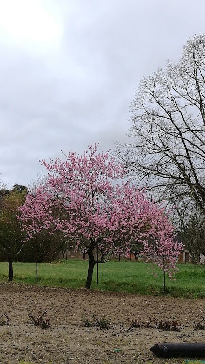 Garage Des Sables Marcot, Garage Automobile à Eymet