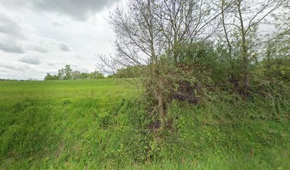 M.I.S maintenance industrielle services, Garage Automobile à Forgues