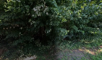 Carrosserie Daniel, Garage Automobile à Saint-Martin-du-Tertre