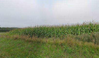 Sumeca S.A.S., Garage Automobile à Flixecourt