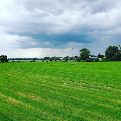 Bogner&fils eberbach-seltz, Garage Automobile à Eberbach-Seltz