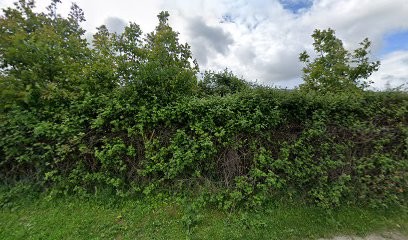 DYNAMISM AUTOMOBILES Mini, Garage Automobile à Distré