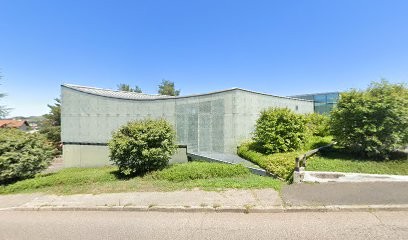 CHAUFFEUR SAINT-ETIENNE, Garage Automobile à Villars