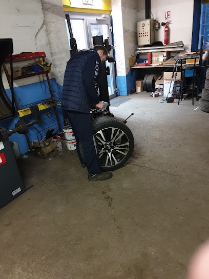 Garage Ricardone, Garage Automobile à Vizille