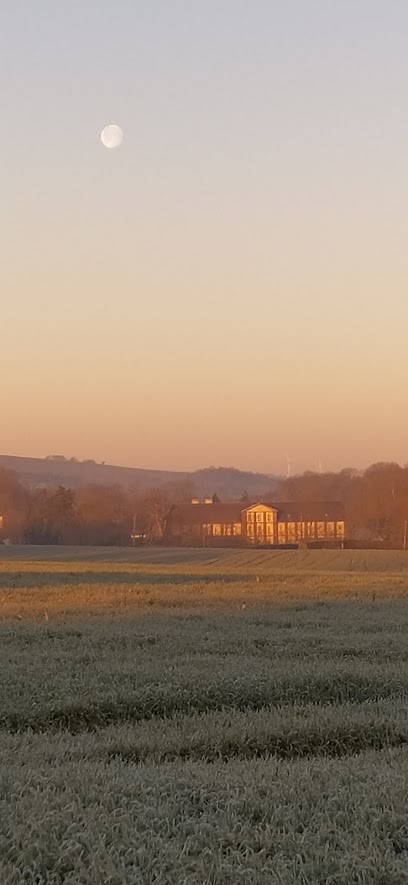 Black Cat's Mechanics, Garage Automobile aux Monts d'Aunay