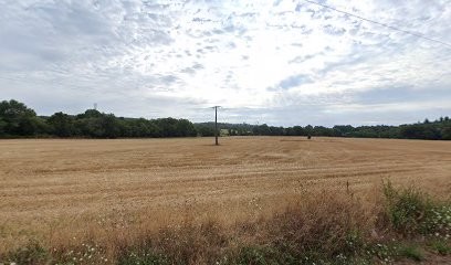 Bily Johan, Garage Automobile à Sulniac