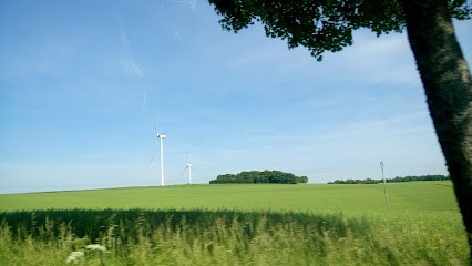 Darcemont François, Garage Automobile à Mandres-en-Barrois