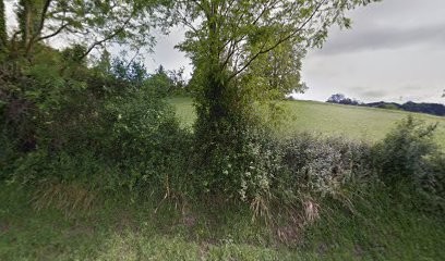 Garage Etchegaray, Garage Automobile à Hasparren