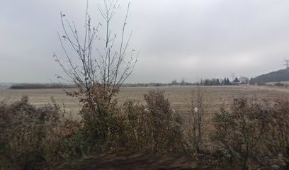 Depannage Des Frangins, Garage Automobile à Toussieu