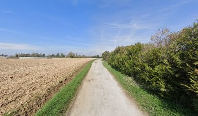 CM Automobile, Garage Automobile à Grisy-Suisnes