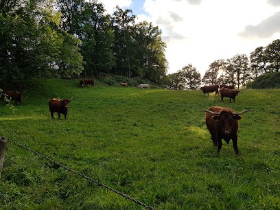Garage Chautard Francois, Garage Automobile à Yolet