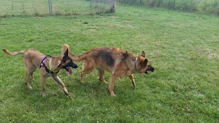 AD Garage de la Beuvronne, Garage Automobile à Claye-Souilly
