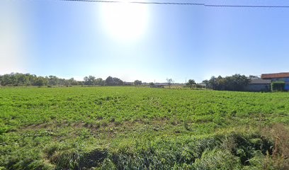 Aguera Joel Armand, Garage Automobile à Feurs