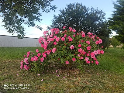 Garage D'Estouy, Garage Automobile à Estouy