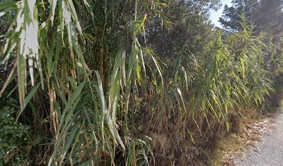 Classic And Young, Garage Automobile à Marignane