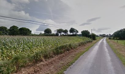 Hamard Cyrille, Garage Automobile à Saint-Georges-de-Reintembault