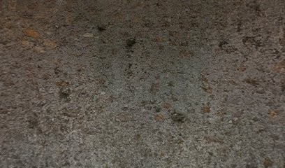 Garage Chambrin, Garage Automobile à Gétigné