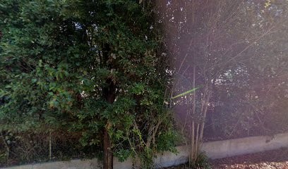 Auto Vasse Felius - Technicar Services, Garage Automobile à Saint-Mitre-les-Remparts