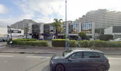 GARAGE DU CHATAIGNIER, Garage Automobile à Villeneuve-Loubet
