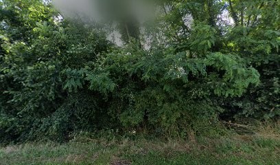 GARAGE SAVIGNY, Garage Automobile à Savigny-sur-Braye