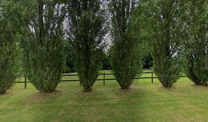 Garage Foullon-dagron, Garage Automobile à Mamers