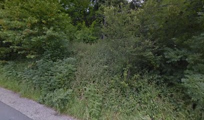 GARAGE ST SAUVEUR, Garage Automobile à Saint-Sauveur-en-Rue