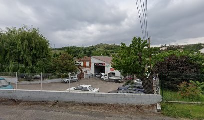 GARAGE TERRAT, Garage Automobile à Genilac