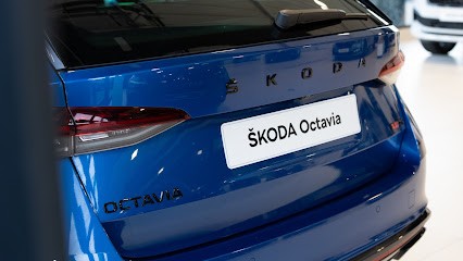 Skoda Service, Garage Automobile à Lyon 03