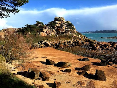 Rénovation Moteurs Anciens, Garage Automobile à Trégastel